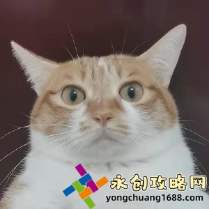 我在野外截取一段視頻，竟發(fā)現(xiàn)了驚天秘密！