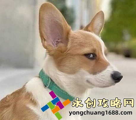 神秘電影5條路徑：探索影片中的隱藏線索與未解之謎！